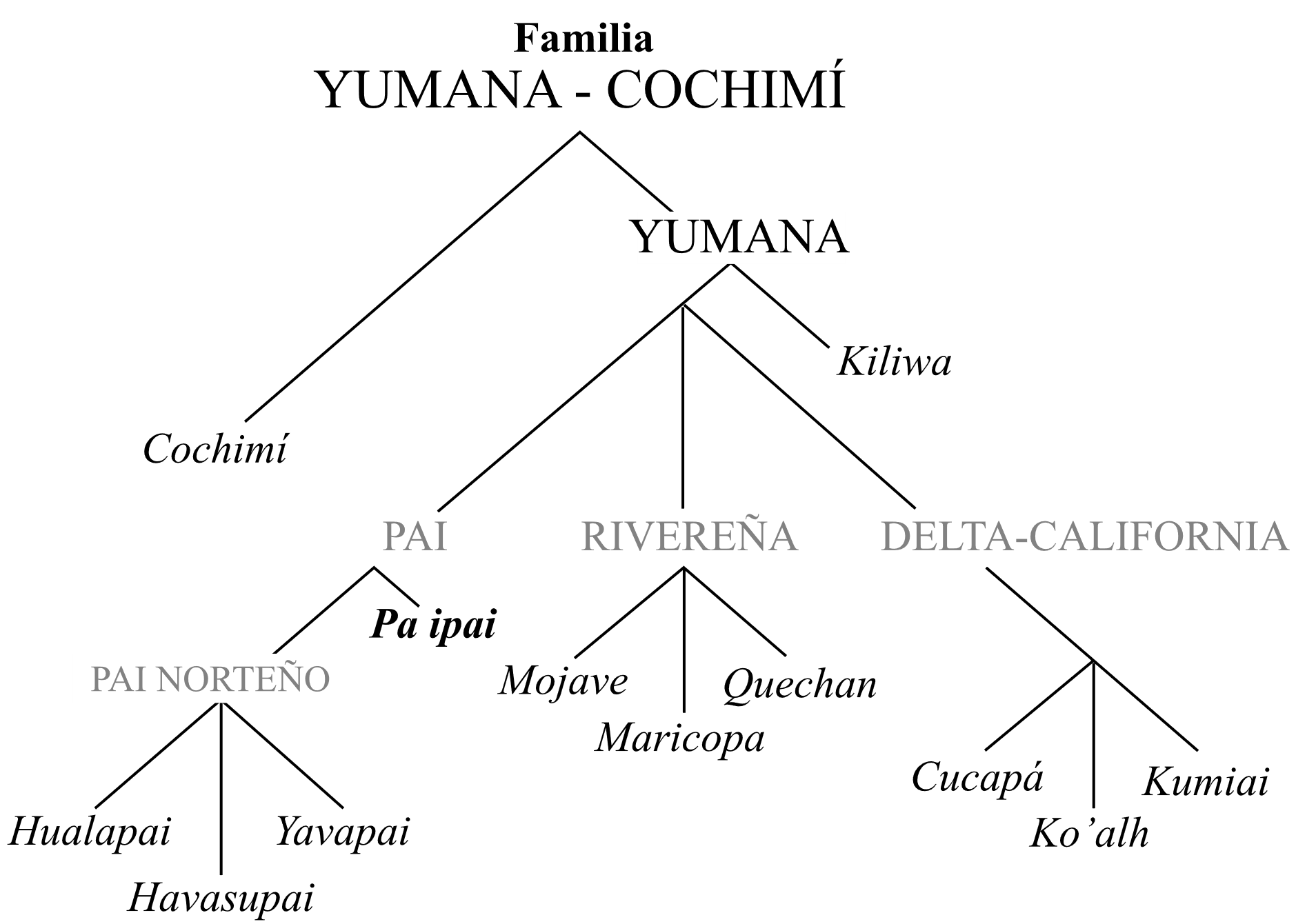 Edit Entry